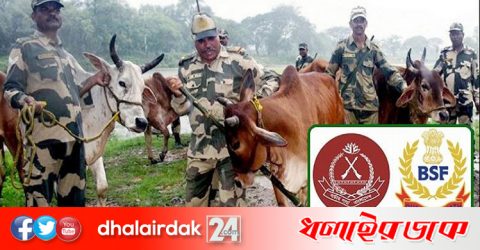 বিএসএফের ভিত্তিহীন বক্তব্য, তীব্র প্রতিবাদ বিজিবির