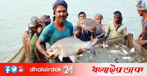 ২১ জুলাই শুরু হচ্ছে জাতীয় মৎস্য সপ্তাহ