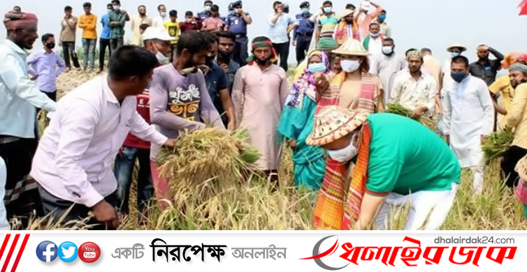 শেখ হাসিনার নির্দেশে সারাদেশে কৃষকের পাশে কৃষকলীগ