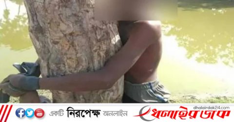 কিশোরকে গাছে বেঁধে নির্মম নির্যাতন, পায়ুপথে মাছ ঢুকানোর চেষ্টা