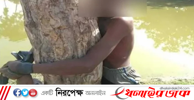 কিশোরকে গাছে বেঁধে নির্মম নির্যাতন, পায়ুপথে মাছ ঢুকানোর চেষ্টা