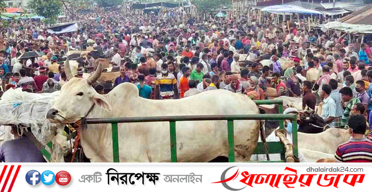 ব্রাহ্মণবাড়িয়ায় গরু বাঁধার জায়গা নিয়ে সংঘর্ষে যুবক নিহত