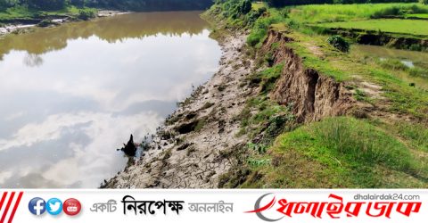 কমলগঞ্জে ধলাই নদীর বেড়িবাঁধের জরাজীর্ণ অবস্থা