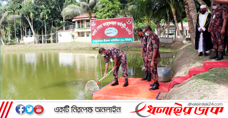 কমলগঞ্জে বীরশ্রেষ্ঠ শহীদ সিপাহী হামিদুর রহমান বিওপিতে মাছের পোনা অবমুক্ত