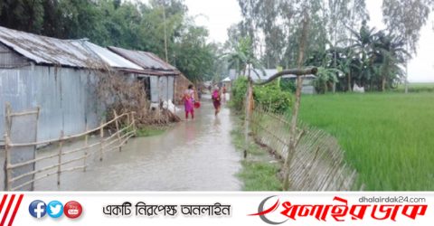 তিস্তার পানিতে প্লাবিত লালমনিরহাট-নীলফামারীর ৬৩ চর