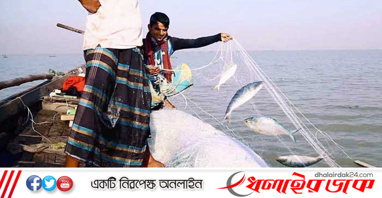 ৪-২৫ অক্টোবর ইলিশ ধরা নিষিদ্ধ