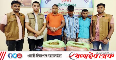 কমলগঞ্জে ৩ কেজি গাজা ও সিএনজি অটোসহ ৩ জন আটক