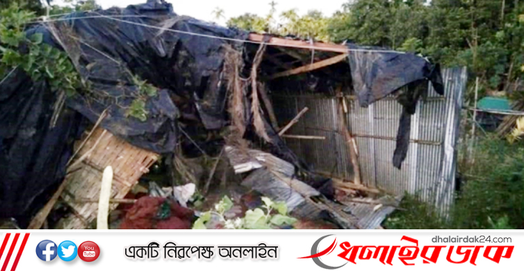 ঝুপড়িঘরে বন্য হাতির আক্রমণ, প্রাণ গেলো স্কুলছাত্রীর