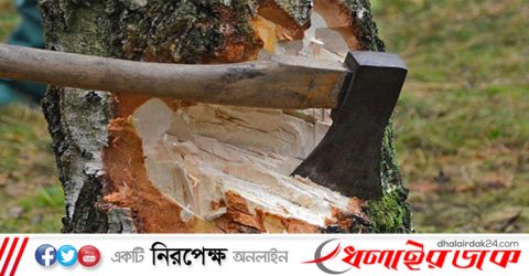 নিজের গাছ কাটতেও নিতে হবে অনুমতি