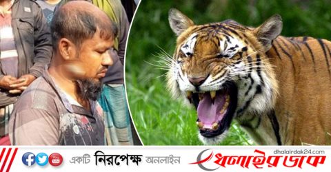 সুন্দরবনে ঢুকেই বাঘের মুখে, লড়াই করে ফিরে এলেন হায়াত ঢালী