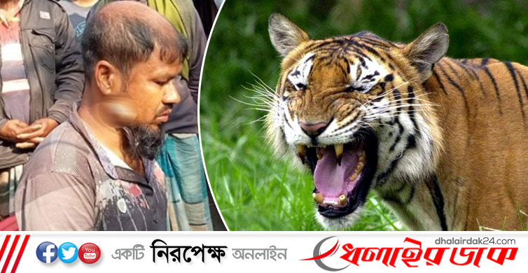 সুন্দরবনে ঢুকেই বাঘের মুখে, লড়াই করে ফিরে এলেন হায়াত ঢালী