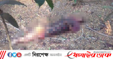 কালবৈশাখী ঝড়ে ছিঁড়ে যাওয়া তারে জড়িয়ে মা-ছেলের মৃত্যু