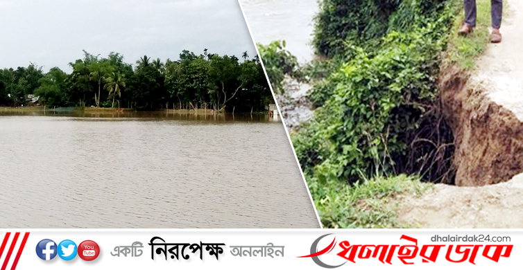 কমলগঞ্জে নিম্নাঞ্চল প্লাবিত হয়ে ৫শ’ হেক্টর বোরো ধান নিমজ্জিত