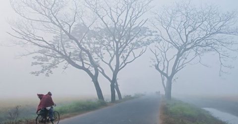 কুড়িগ্রামে সর্বনিম্ন তাপমাত্রা ১১ ডিগ্রি