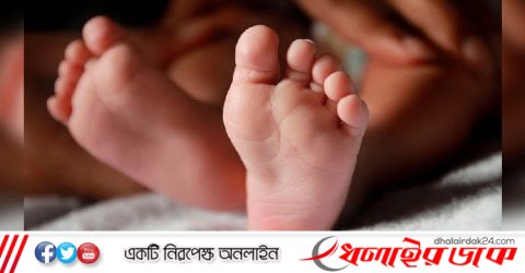 মাছভর্তি বালতিতে পড়ে শিশুর মৃত্যু