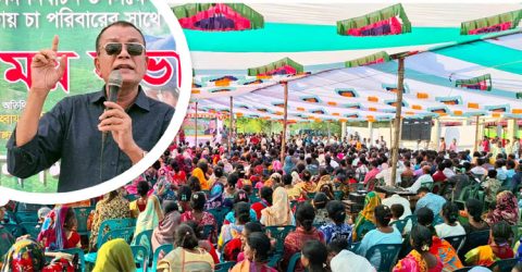 কমলগঞ্জে চা শ্রমিক নিয়ে শান্তি ও সম্প্রীতি রক্ষায় মহসিন মিয়া মধু