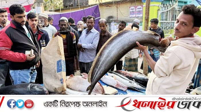 পৌষসংক্রান্তিতে কমলগঞ্জে বসেছে ঐতিহ্যবাহী মাছের মেলা
