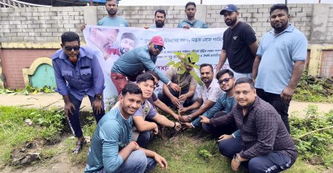 পর্যটন এলাকার সৌন্দর্য ও জীববৈচিত্র্য রক্ষায় কমলগঞ্জে ৪০টি পলাশের চারা রোপণ