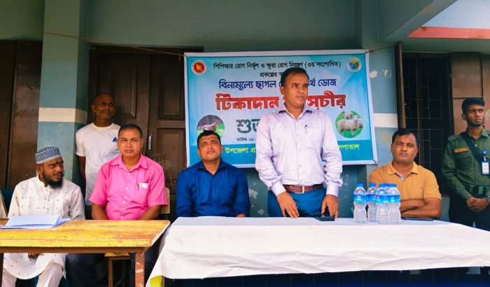 কমলগঞ্জে বিনামূল্যে ছাগল ও ভেড়ার পিপিআর টিকাদান কর্মসূচীর উদ্বোধন