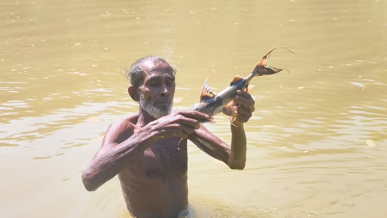 ধলাইয়ে অবাধে বিষ প্রয়োগ; একদিকে পরিবেশ বিপর্যয়, অন্যদিকে নীরব ঘাতক